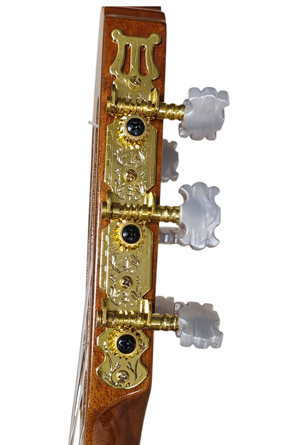 Olvano CL395_7.png